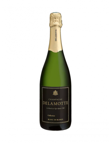 DELAMOTTE, BLANC DE BLANCS COLLECTION, 2000 50% de réduction en Octobre 2024