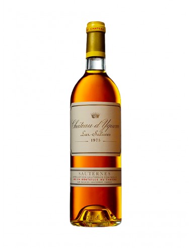 CHATEAU D'YQUEM, 1975 s'inspire de l'anatomie humaine