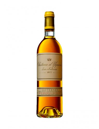 CHATEAU D'YQUEM, 1977 pas cher